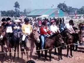 Cheski (in red) eyeing up the opposition at the start of a Mule Race